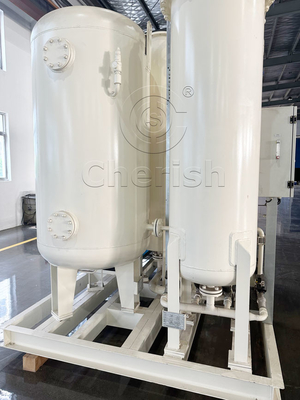 Suministro sostenible de generadores de oxígeno Psa de alta pureza para soplado de vidrio industrial y producción de luz de neón